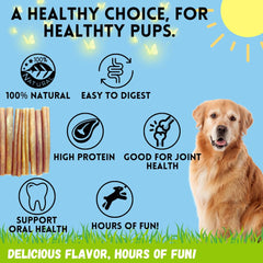 Bullysticks & More dog enjoying chew illustrates engaging playtime and focus.