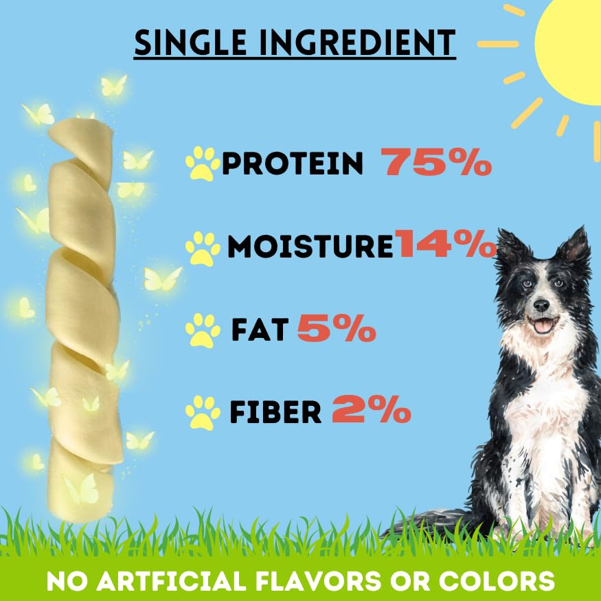 Dog enjoys BULLYSTICKS & MORE beef cheek spring during training.
