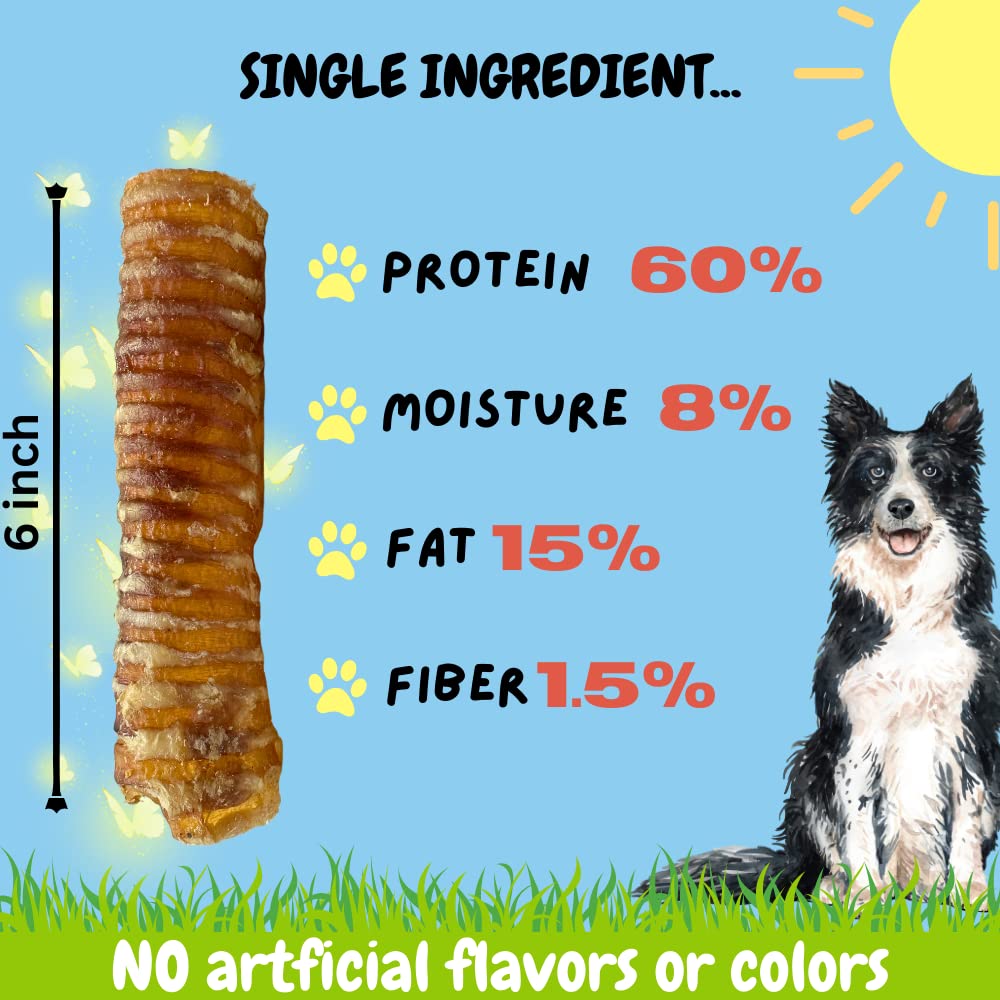 Protein-dense trachea chew ideal for active dogs