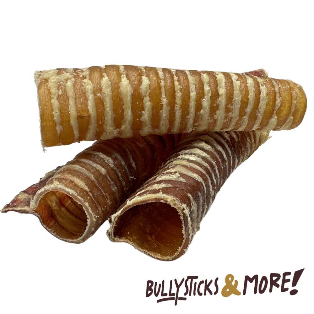 Beef trachea snack close-up showing single-ingredient goodness
