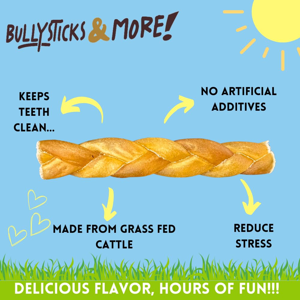 Bullysticks & More dog enjoying a chew of collagen braids during playtime.