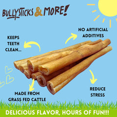 Dog enjoys a BULLYSTICKS & MORE beef collagen chew during playtime for enrichment.