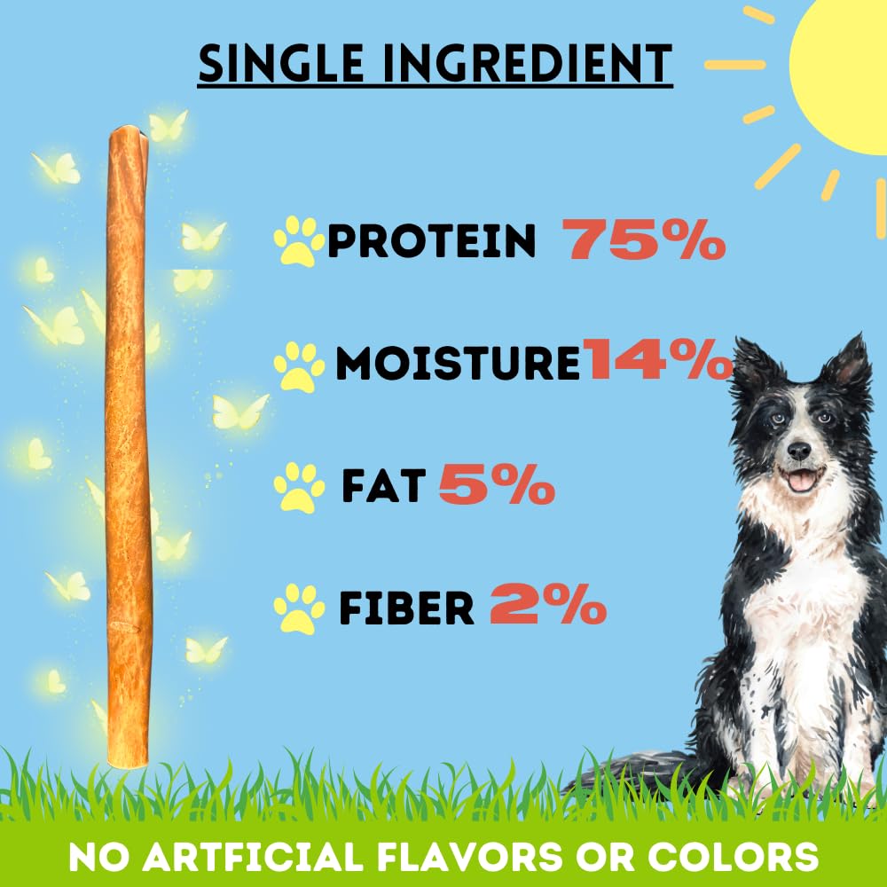 Happy dog savoring a lean, low-fat chew from BULLYSTICKS & MORE.