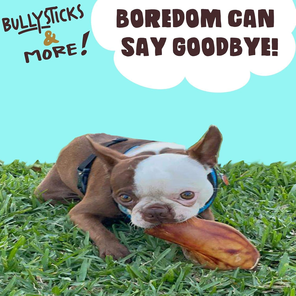 Bullysticks & More pig ears dehydrated texture invites chew sessions for engagement and dental interest.