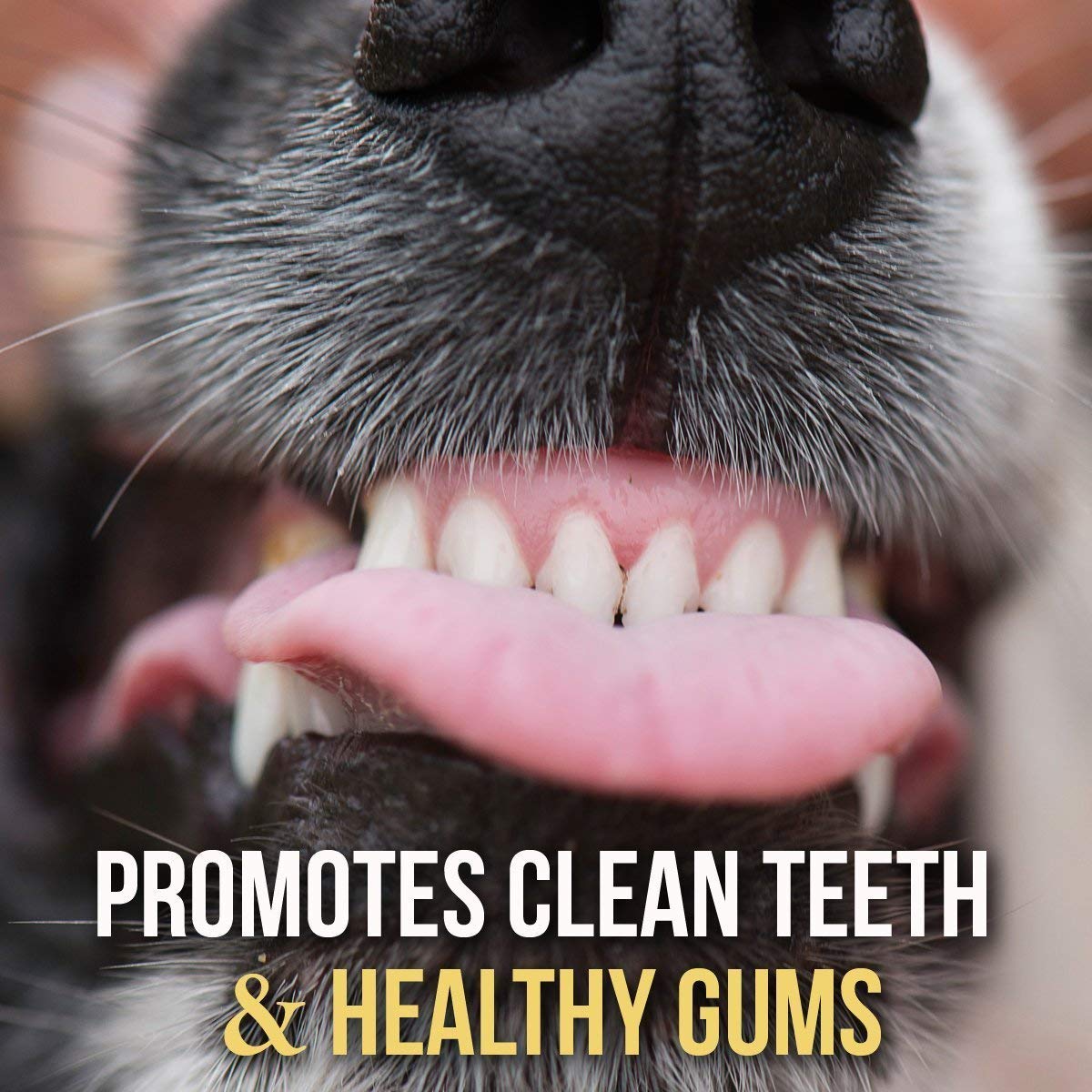 Bullysticks Organic free-range beef chews packaging highlights natural ingredients