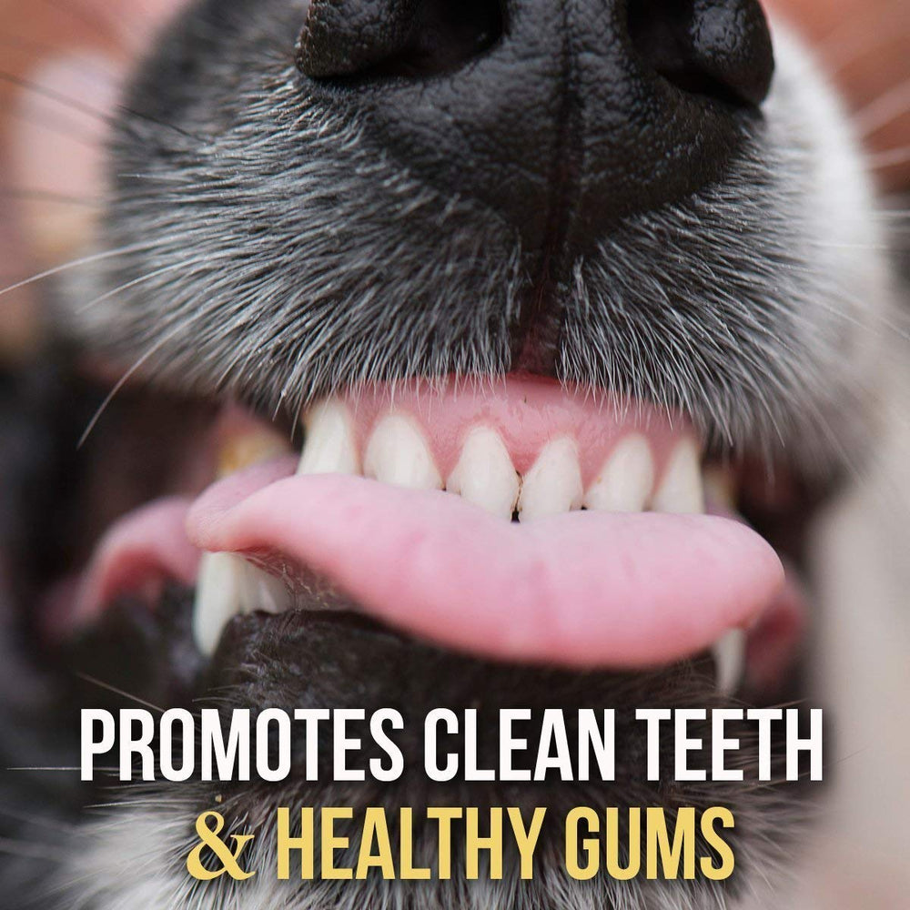 Bullysticks Organic free-range beef chews packaging highlights natural ingredients