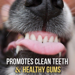 Bullysticks Organic free-range beef chews packaging highlights natural ingredients