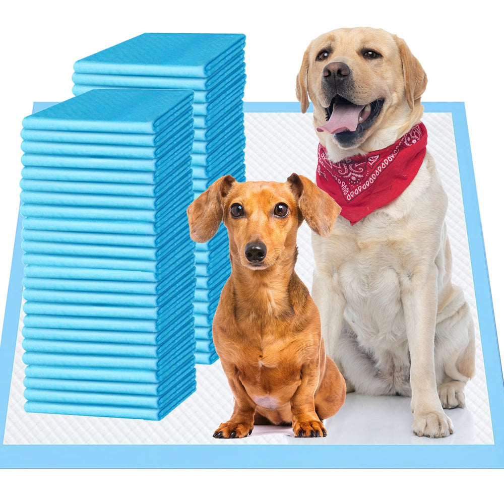 Bulubaky six-layer leak-proof puppy pad protects floors