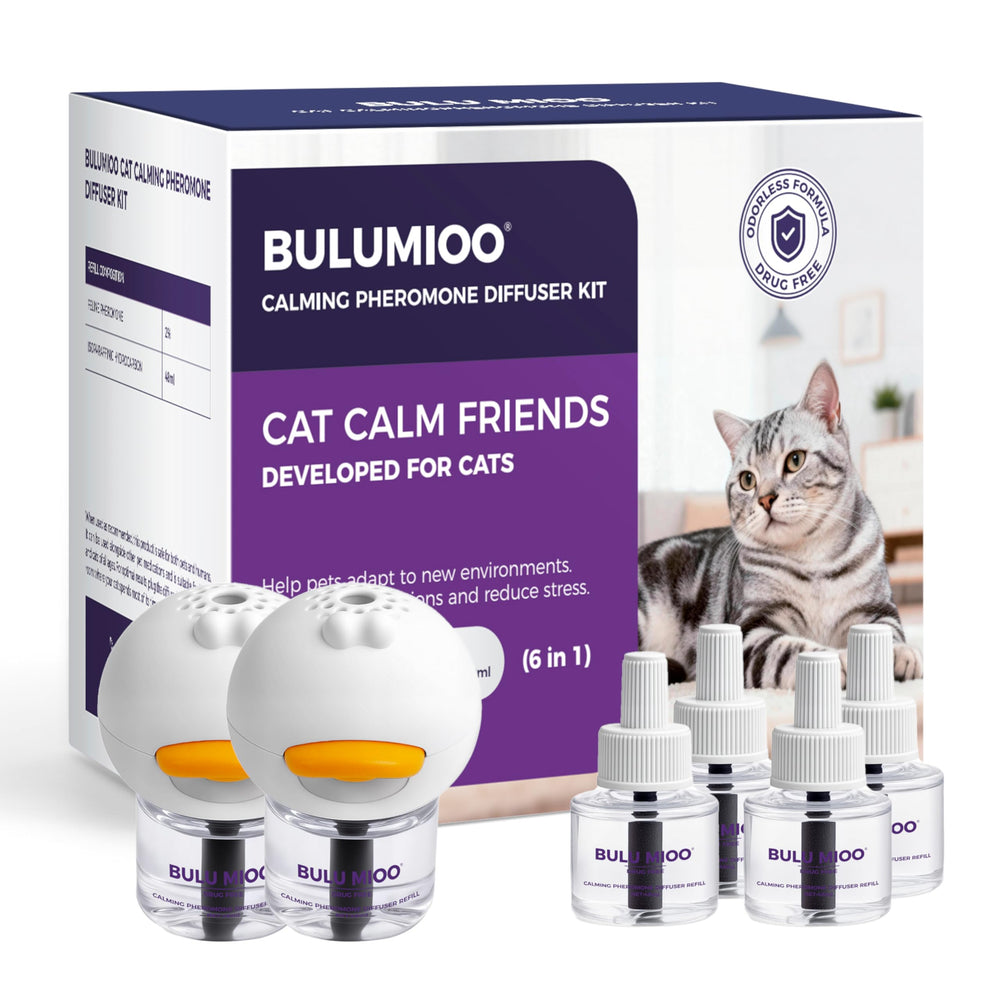 BULUMIOO cat calming diffuser set interior scene showing a calmer home for felines