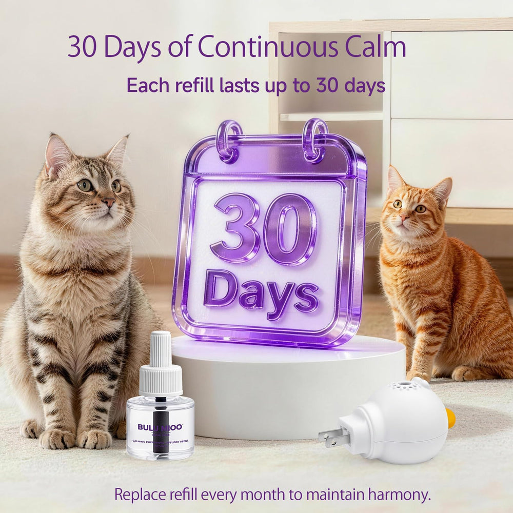 Bulumioo silent-operation diffuser in living room supports calm cats