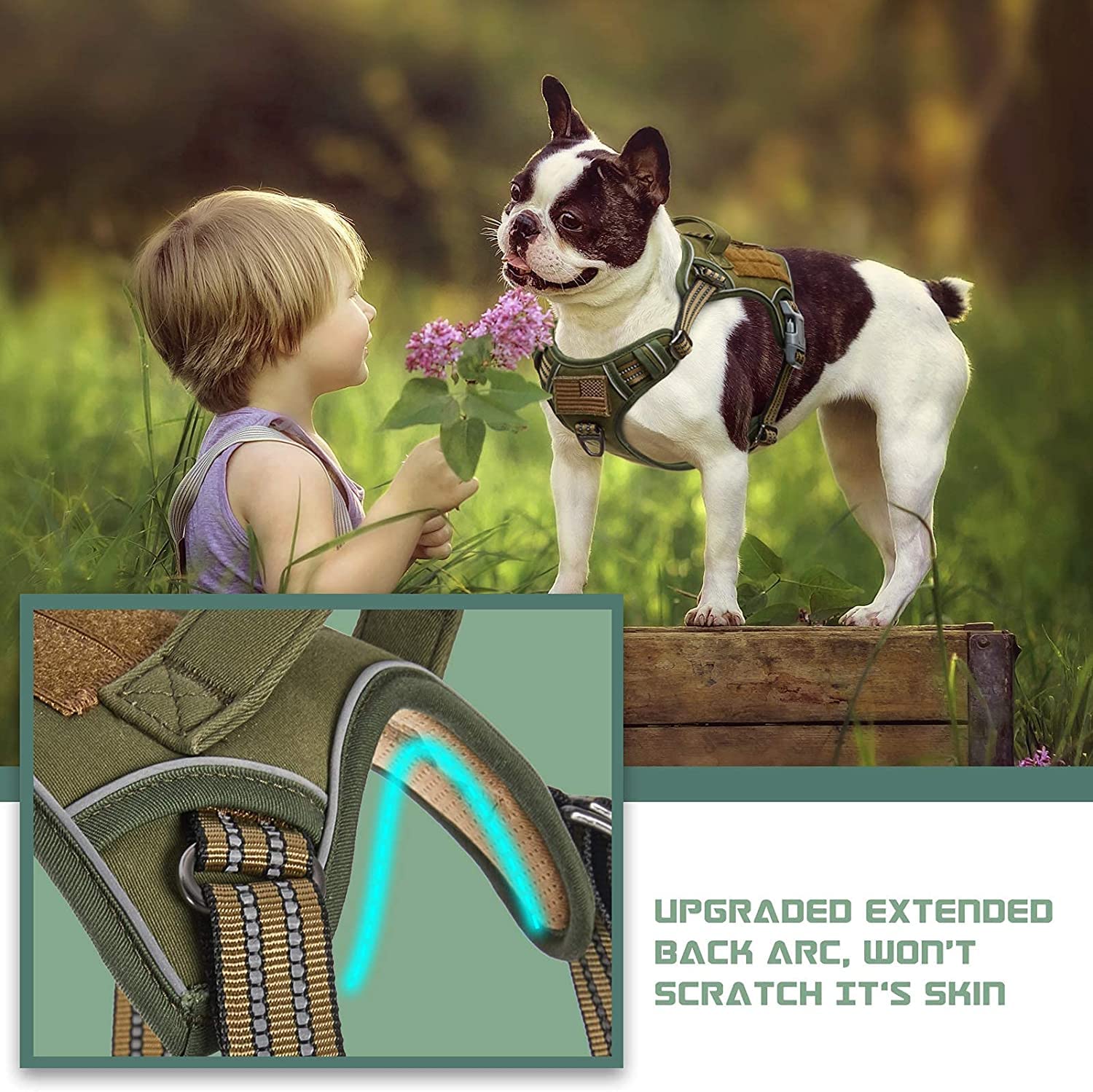 BUMBIN nesting buckle demonstrates easy on/off for small dogs.