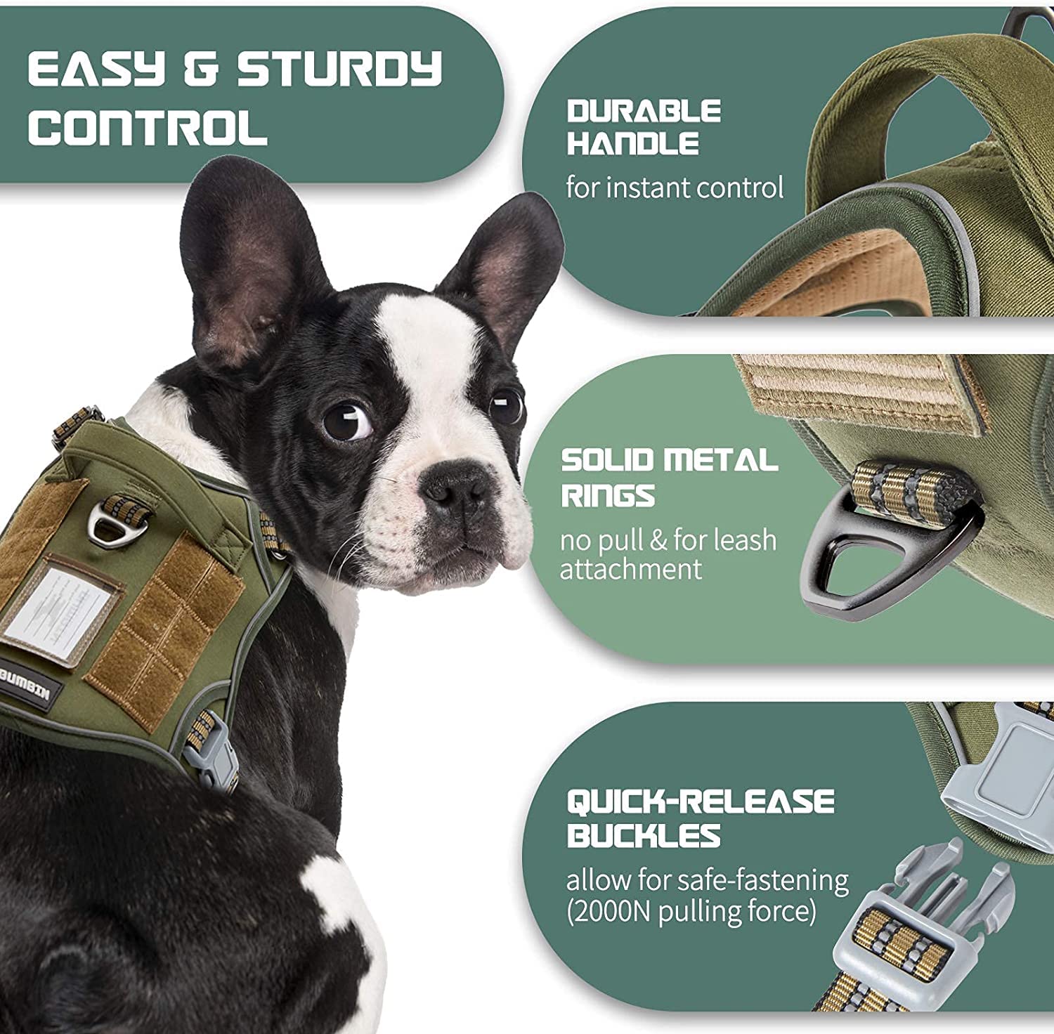BUMBIN reflective straps improve visibility during evening walks.