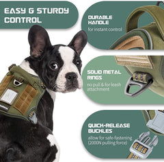 BUMBIN reflective straps improve visibility during evening walks.