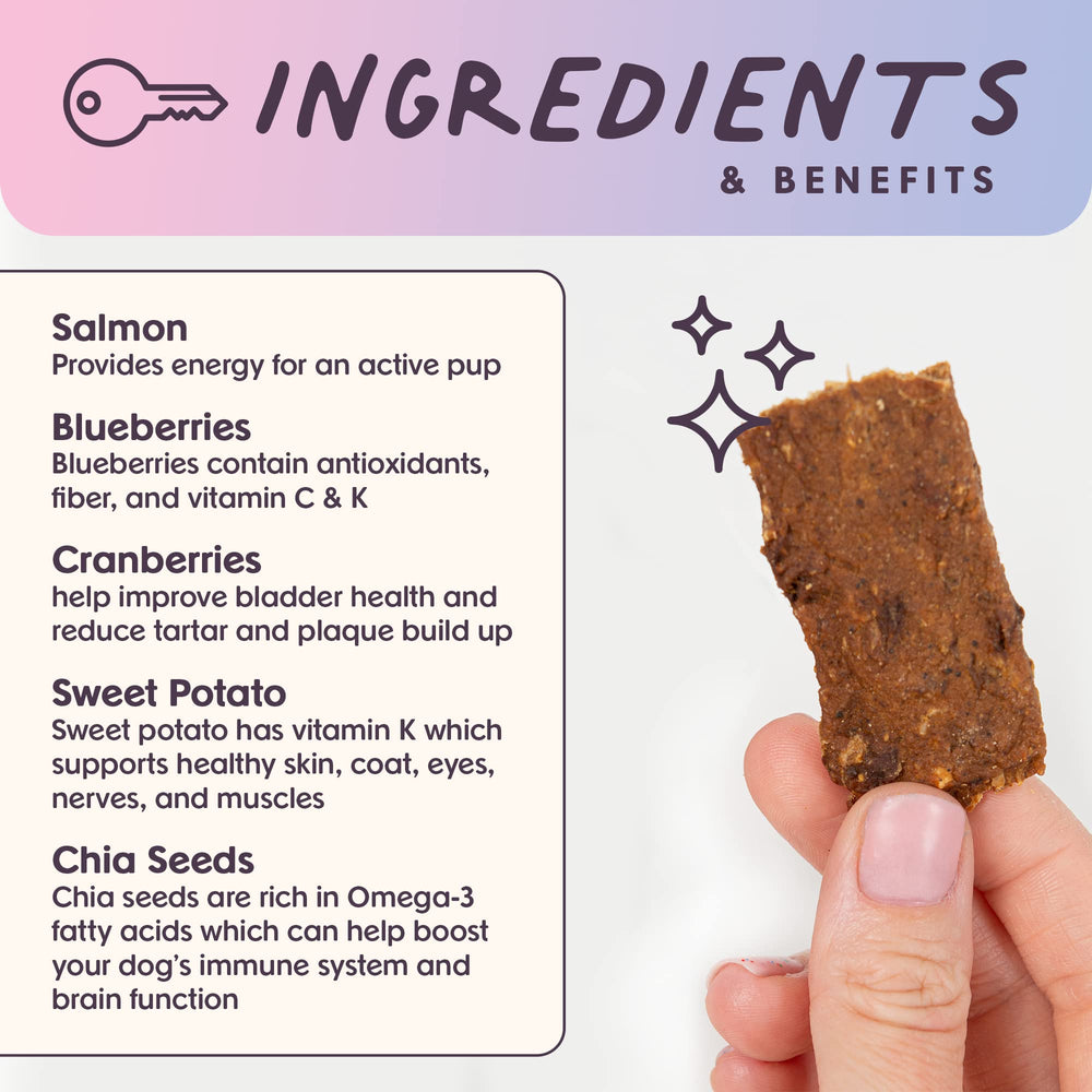 Bundle x Joy bite-sized jerky pieces ideal for all dog sizes