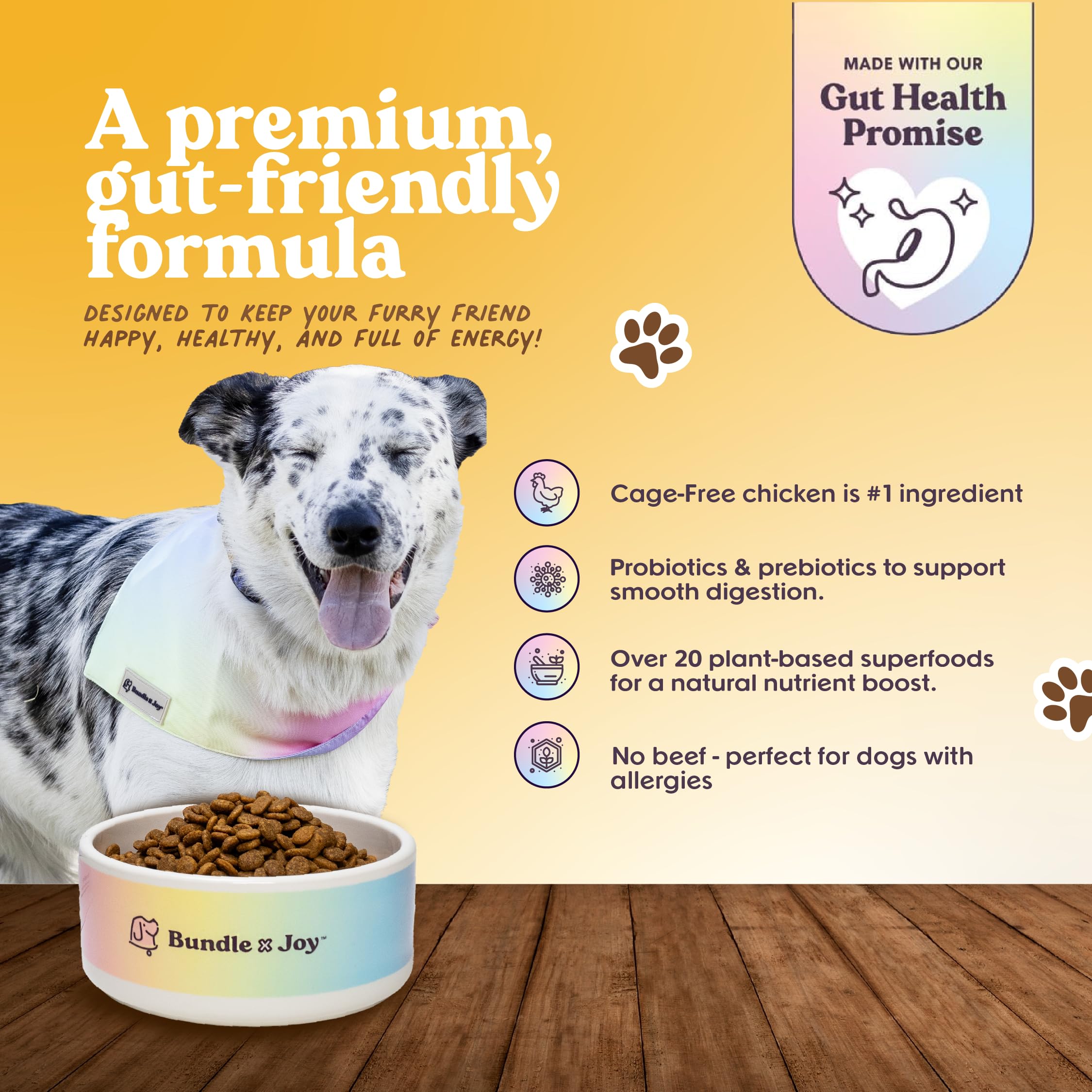 Bundle x Joy bag front highlights cage-free chicken and grain-free recipe.