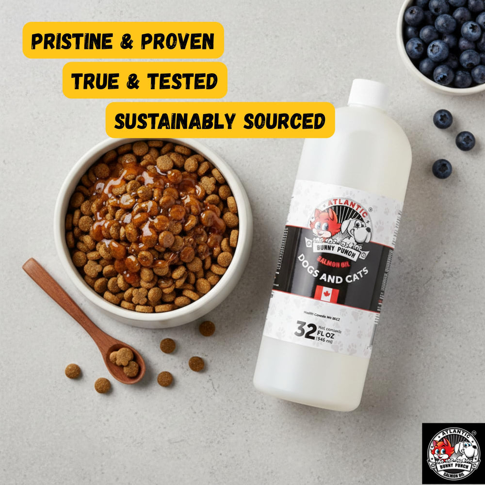 Bunny Punch lab-tested oil scene underscores quality and safety for pets