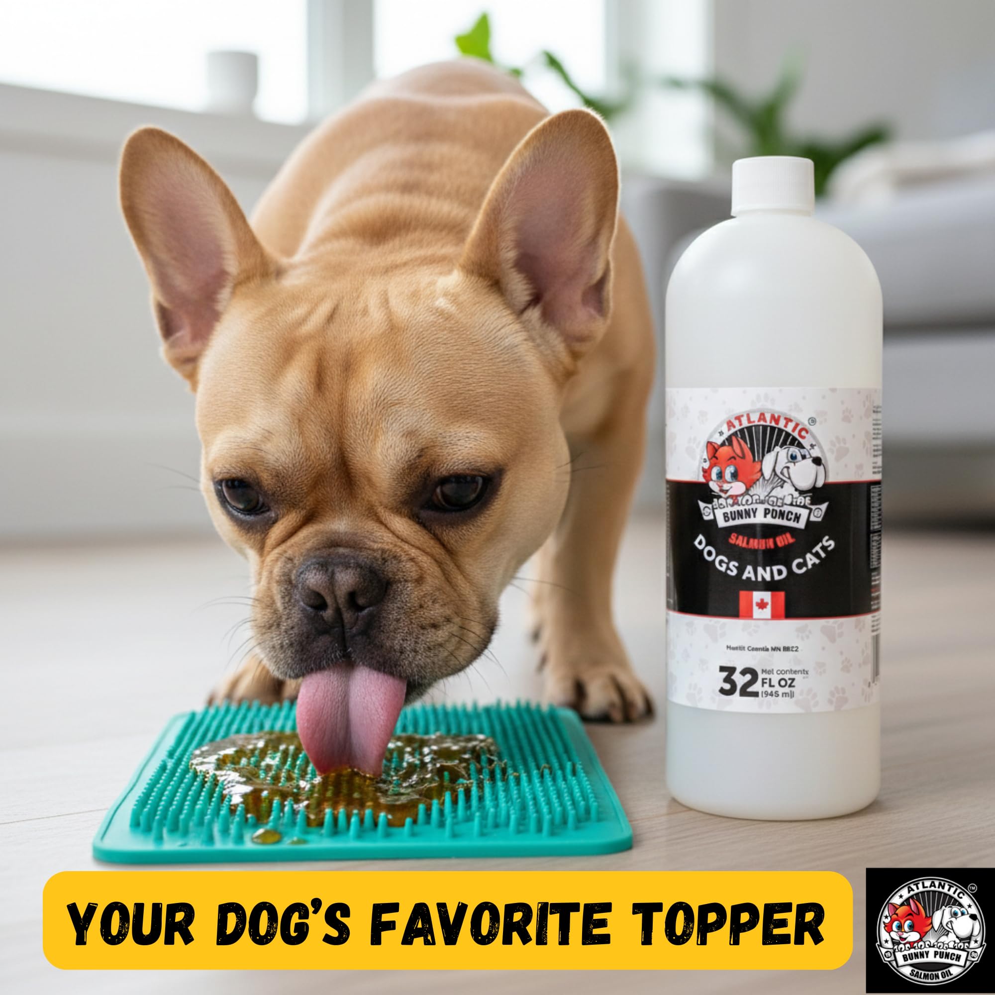 Bunny Punch salmon oil used as a convenient meal topper for dogs and cats