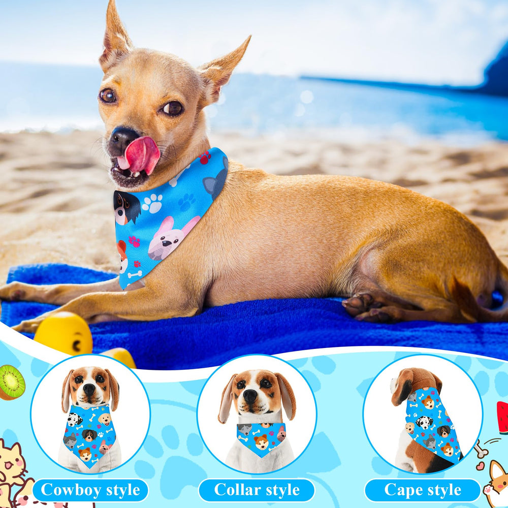 Bunnycool cat bandanas colorful fashion accessory for pets