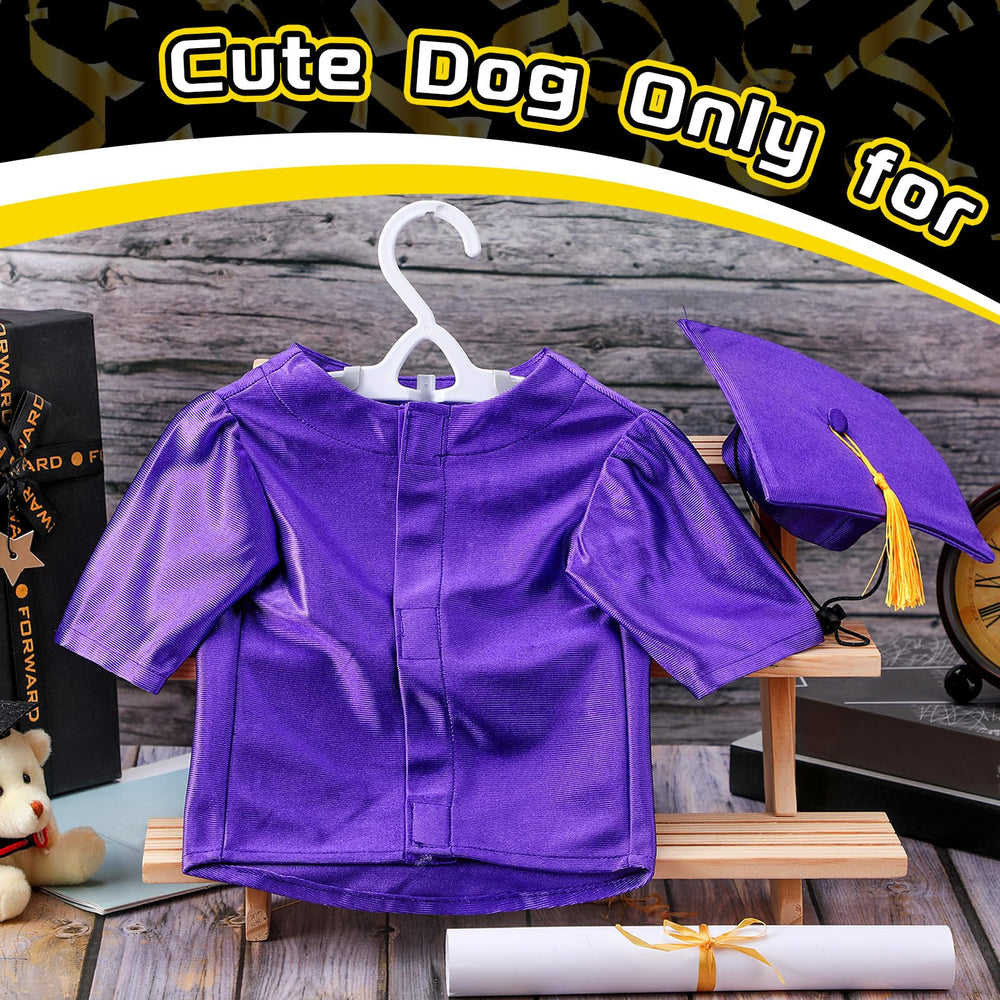 Bunnycool cat in graduation costume for celebratory pretend ceremonies.