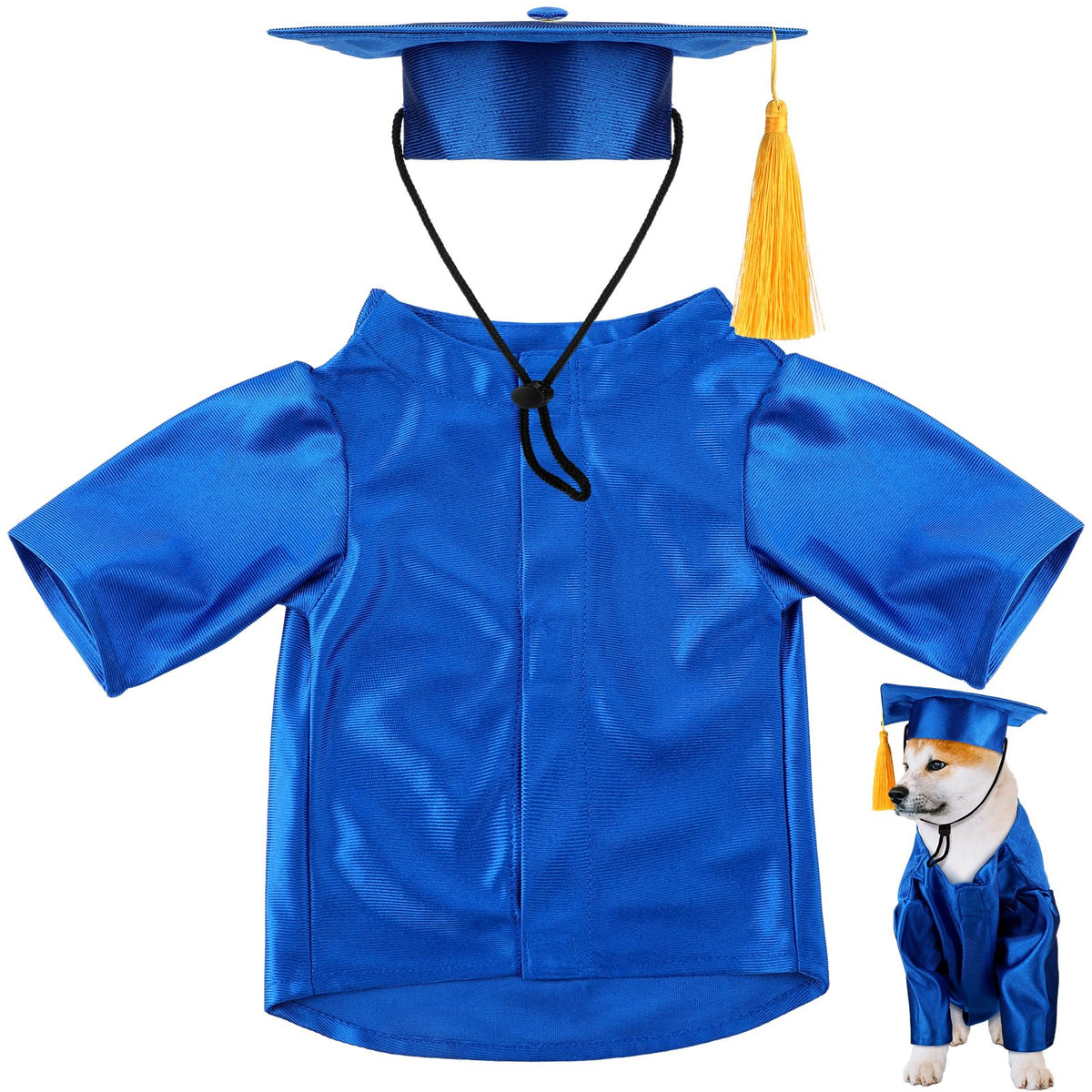 Bunnycool dog graduation cap ready for timeless ceremony photos.