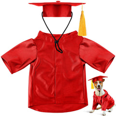 Bunnycool graduation cap in red, great for stylish pet ceremony photos.