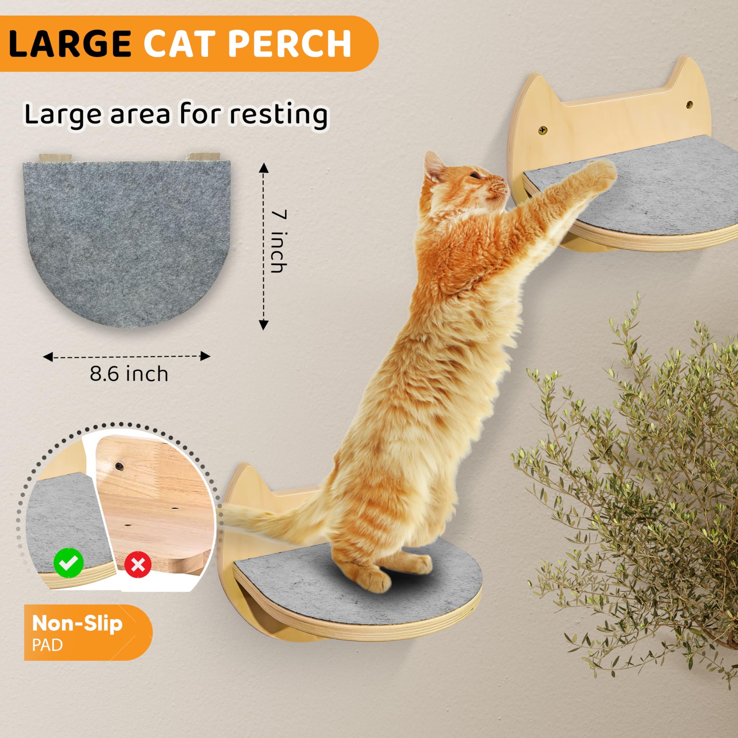 BUOGA birch wood finish on cat wall shelves