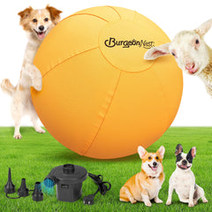 BurgeonNest 18-inch blue herding ball in action for energetic dogs.