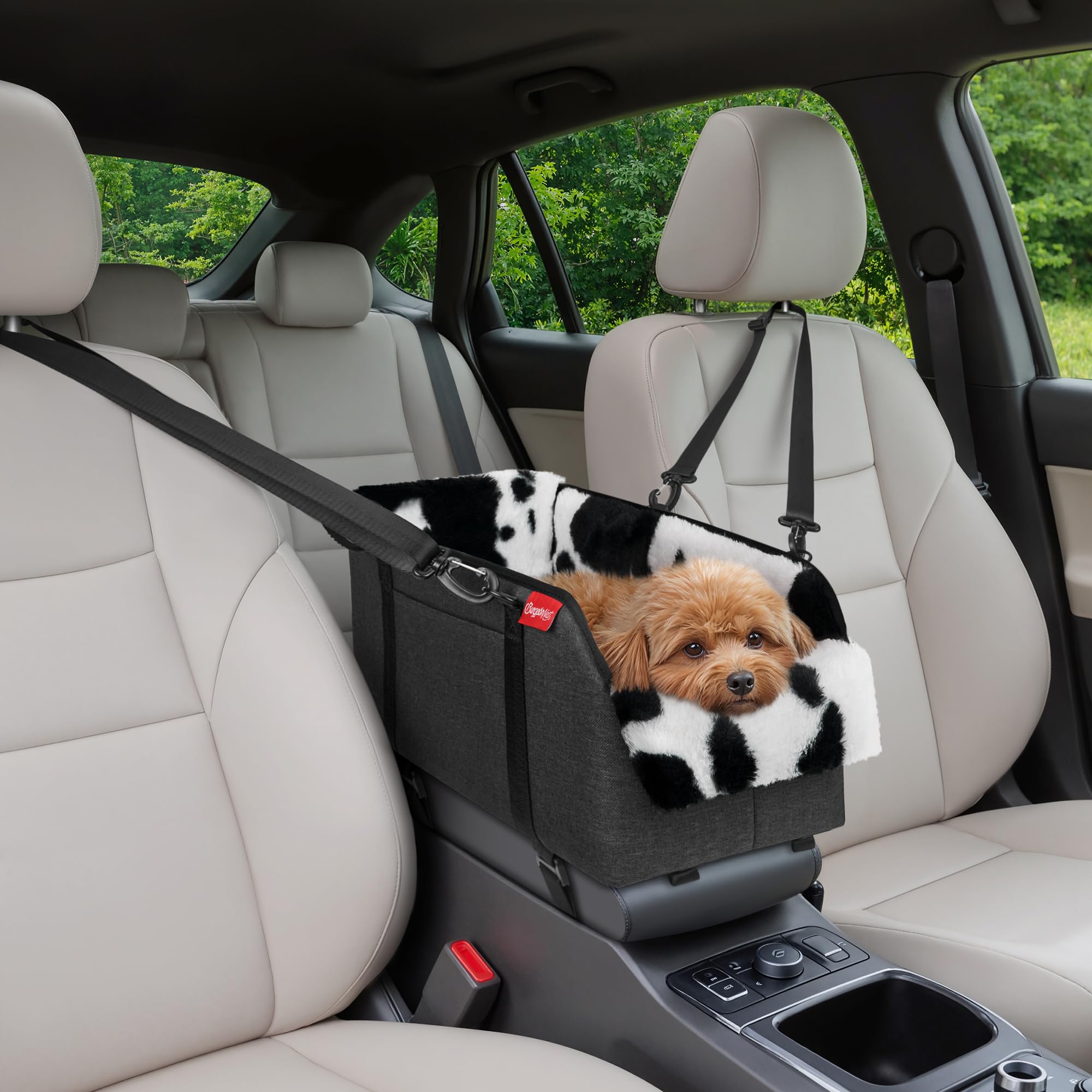 BurgeonNest center console car seat keeps small dogs secure during drives