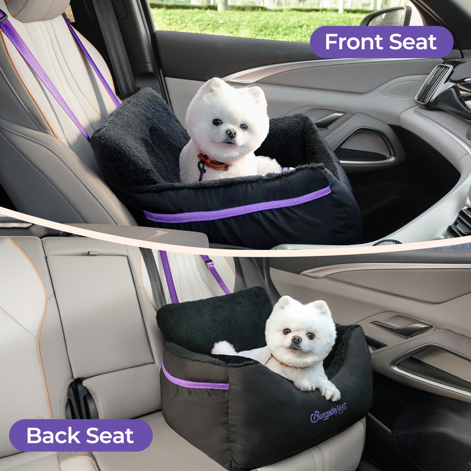 BurgeonNest car seat demonstrates adjustable belts to secure a pet
