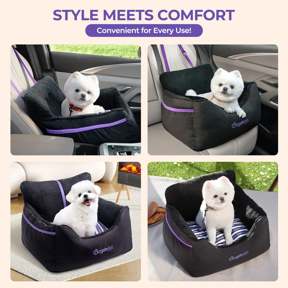 BurgeonNest seat used on front or back seat for flexible placement