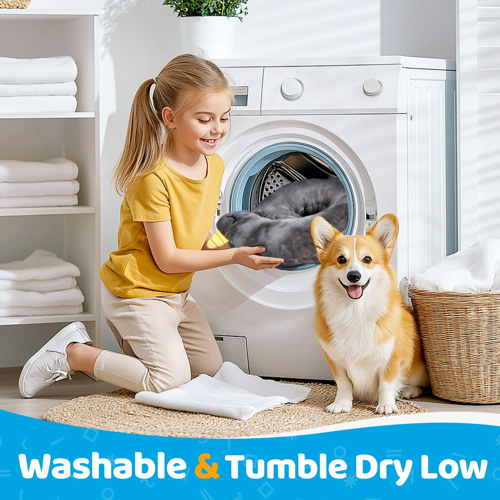 BurgeonNest soft, vibrant bed complements any pet corner.