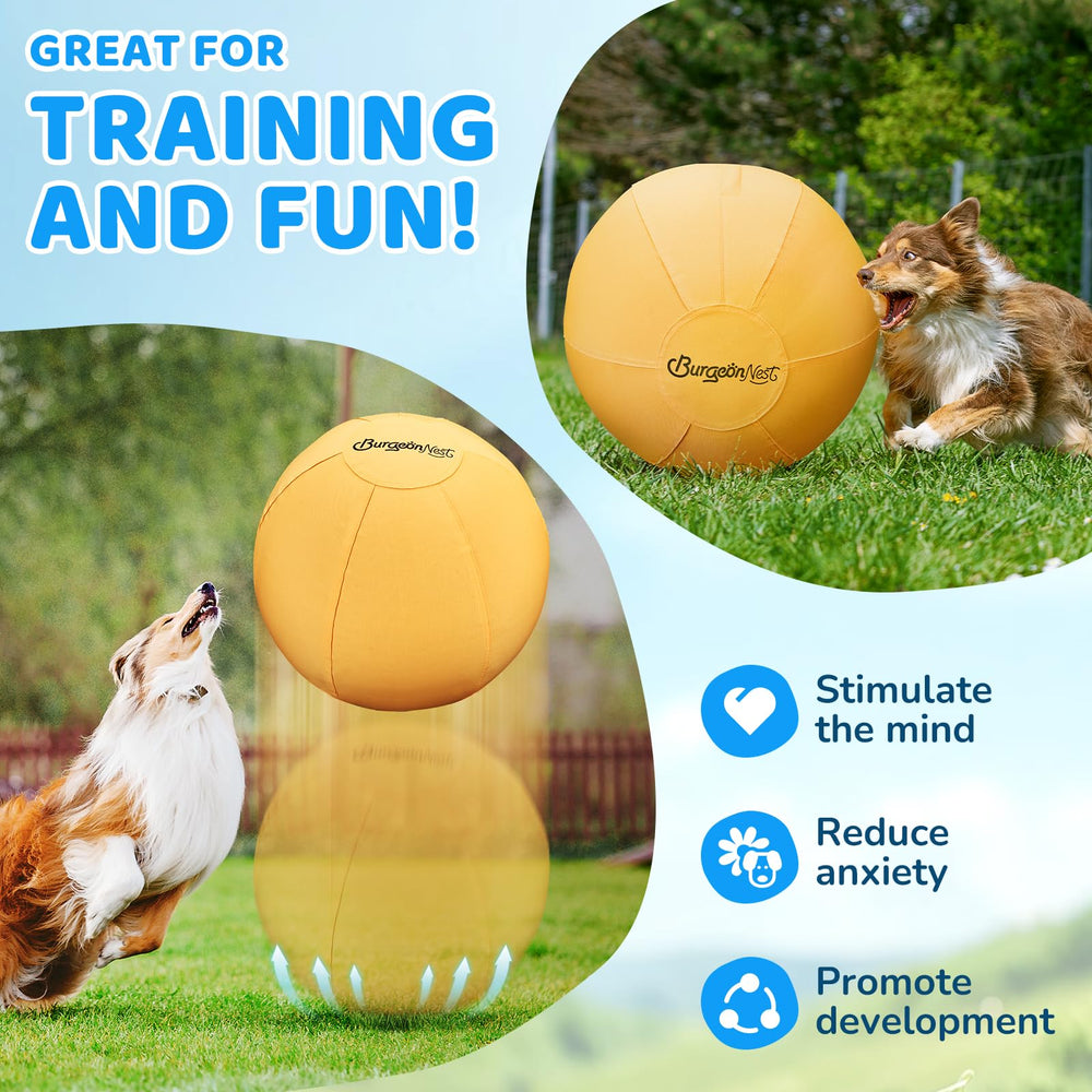 BurgeonNest dog ball includes electric pump for fast inflation