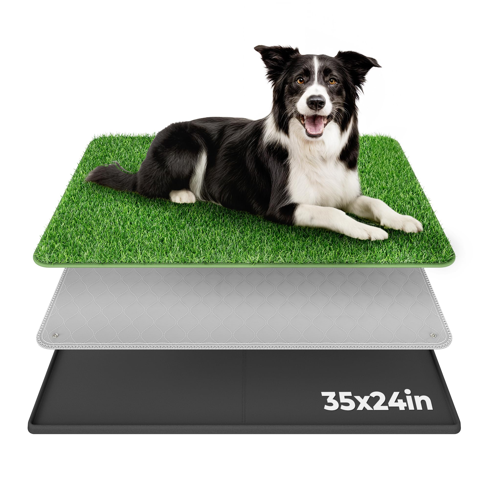 BurgeonNest dog grass pad 35x24 for indoor potty training and easy cleanup.