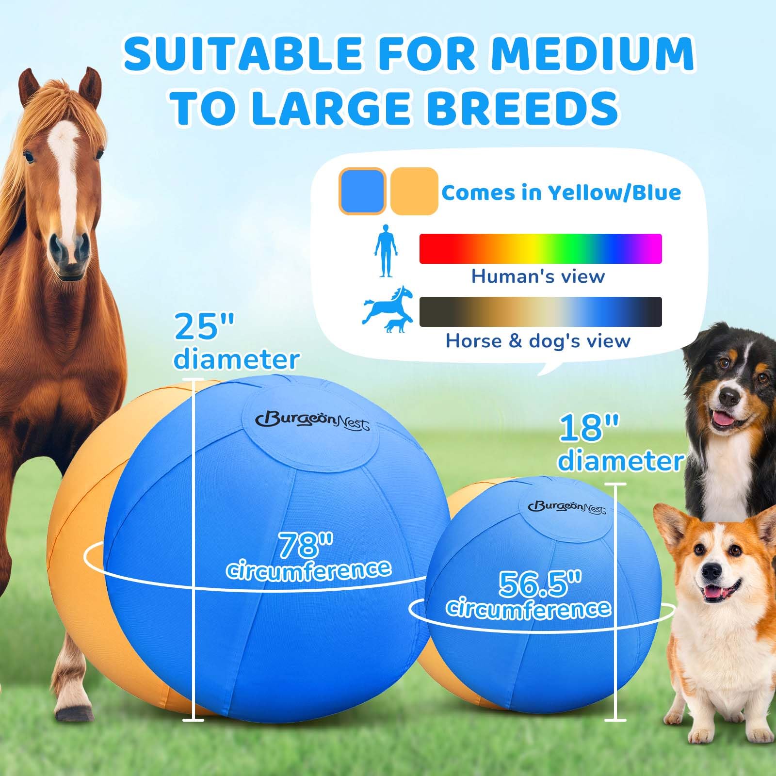 Built-in bell on BurgeonNest ball adds audible play cues