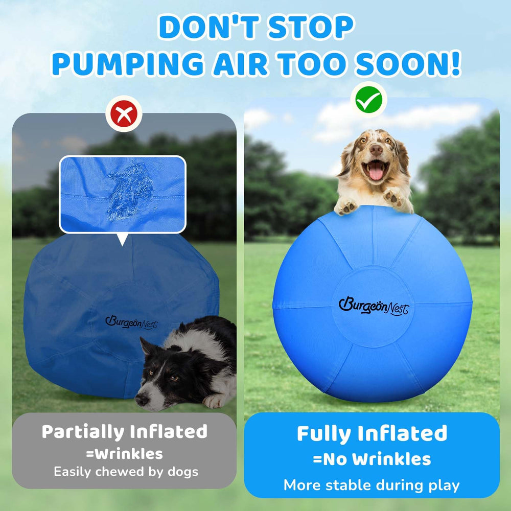 Large-diameter BurgeonNest toy supports medium to large breeds' play