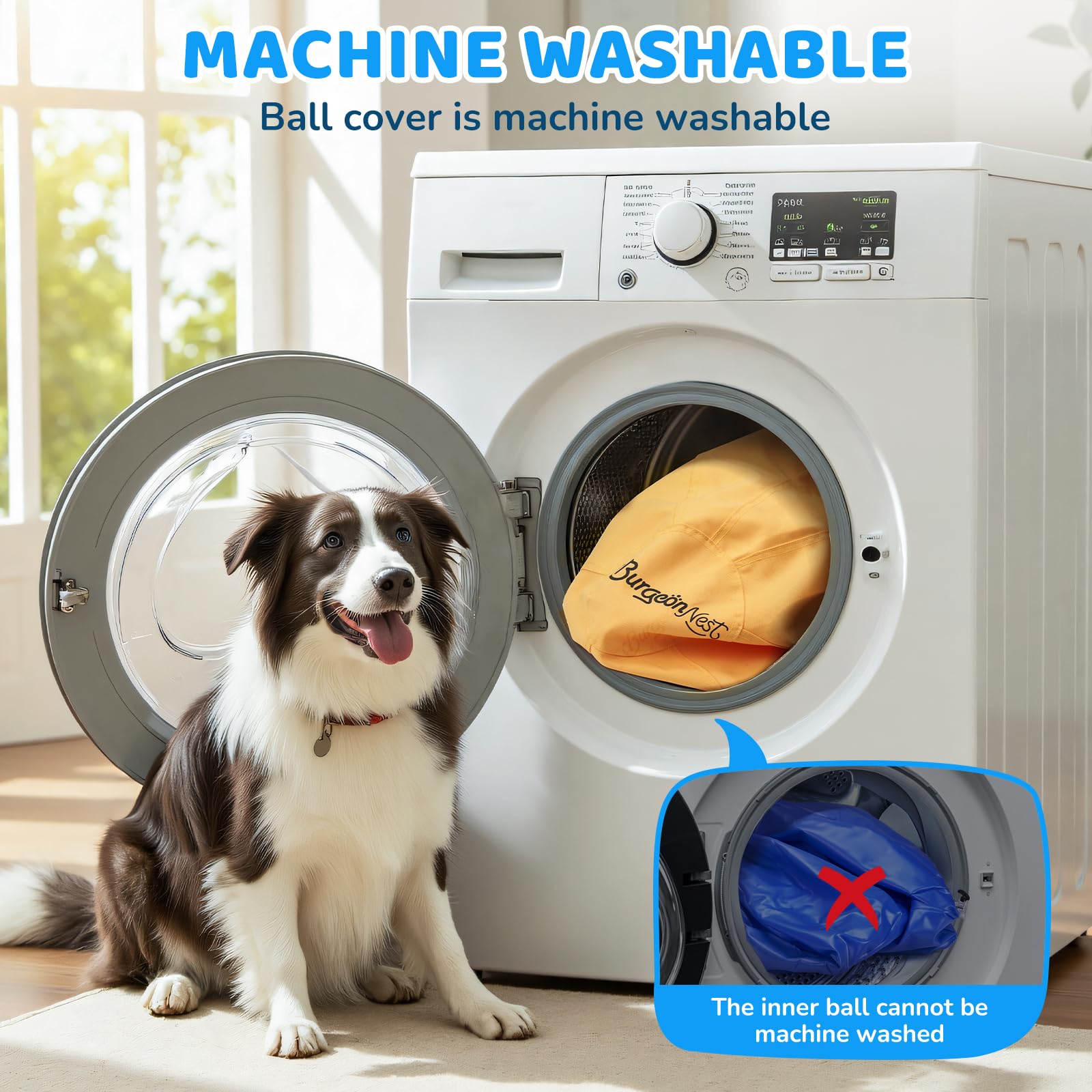 BurgeonNest ideal for fetch and obedience training outdoors