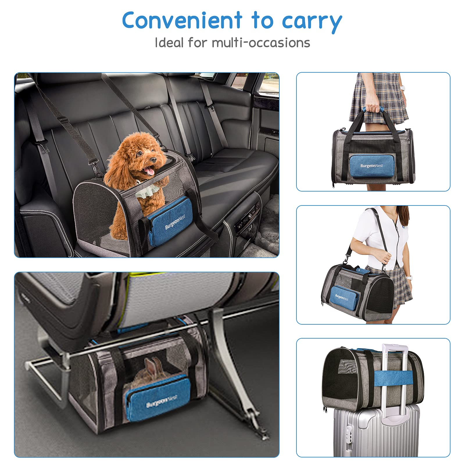 BurgeonNest washable, easy-clean cat carrier for quick cleanup.