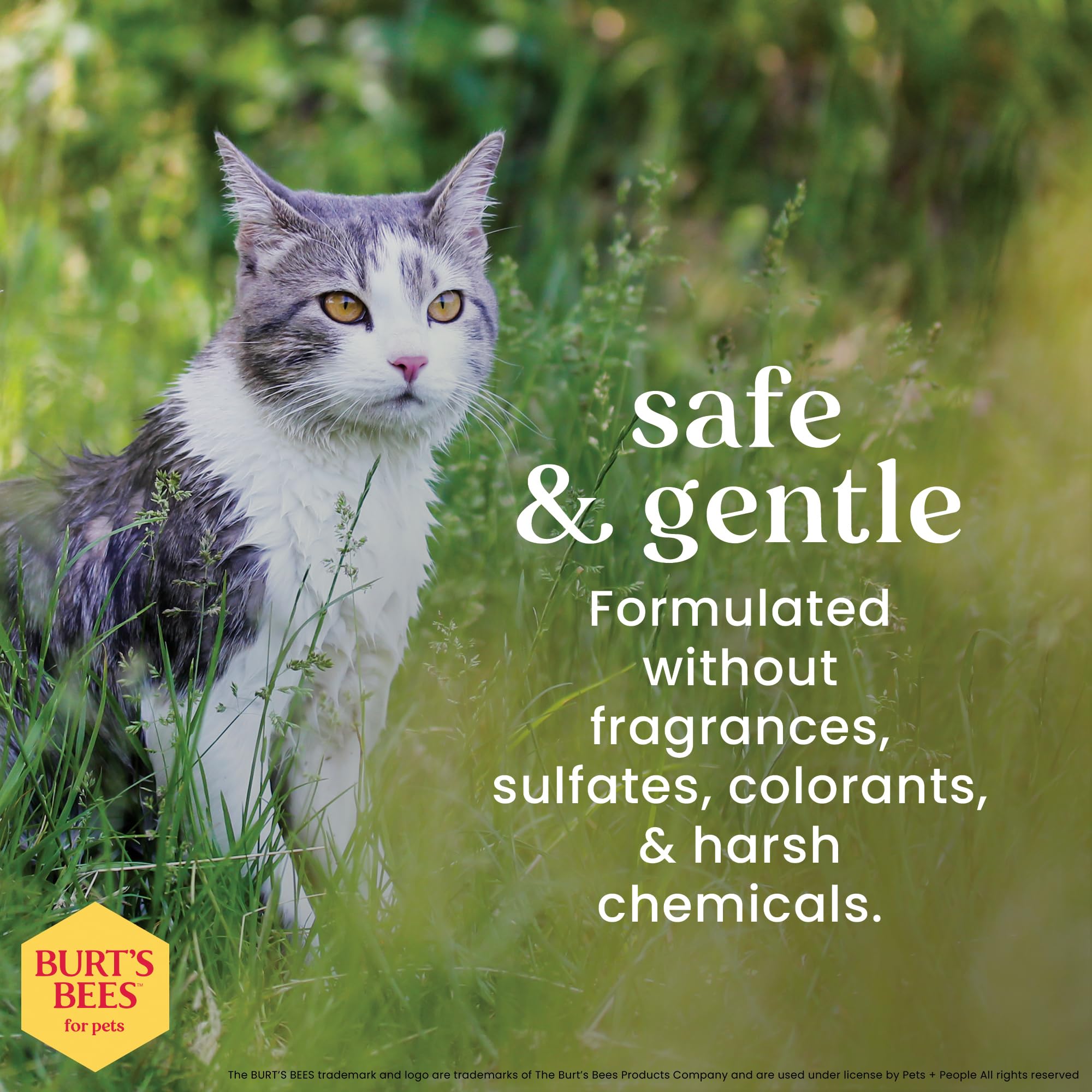 Burt's Bees for Pets cat wipes 50-count pack ideal for regular grooming