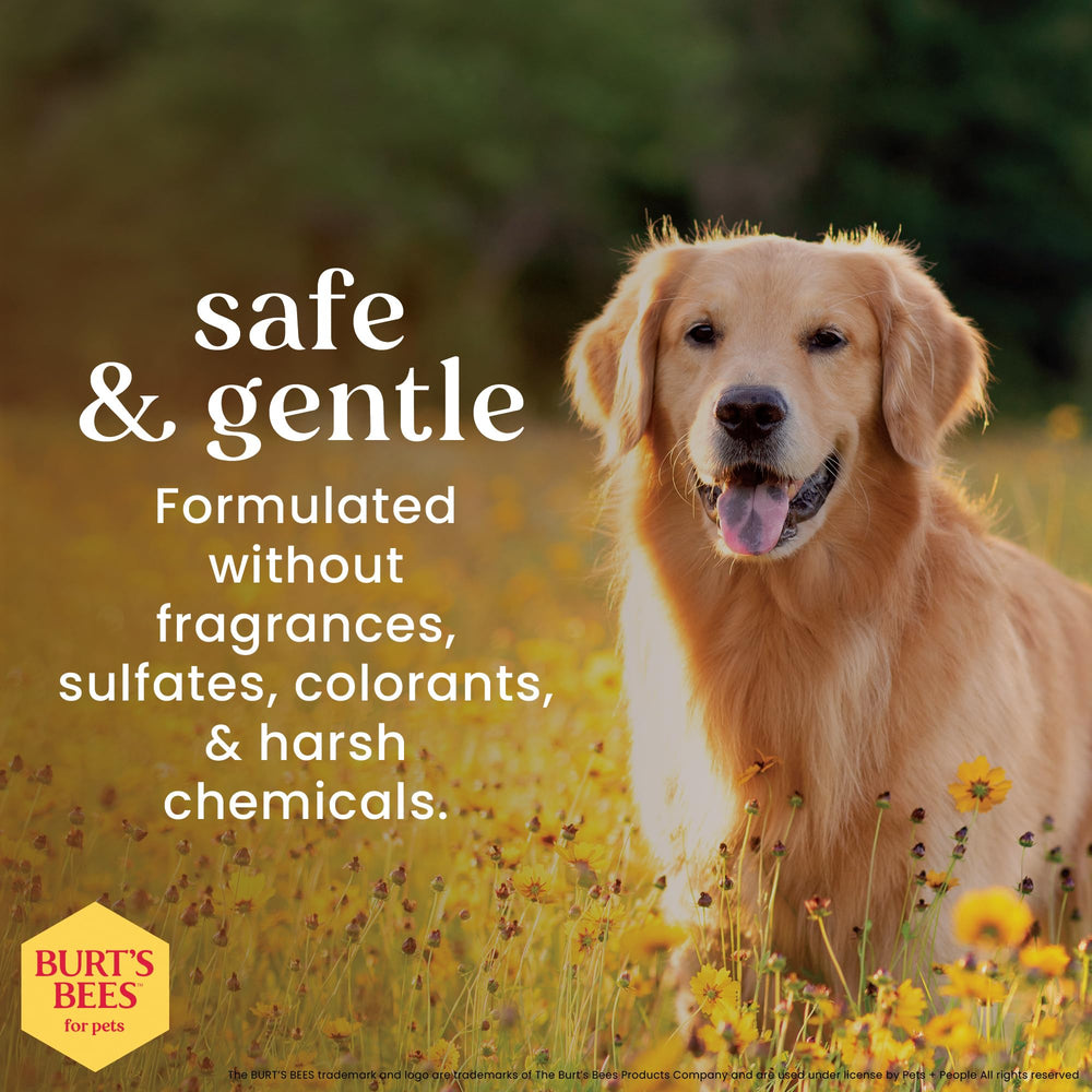 Burt's Bees for Pets Honey Multipurpose Wipes face clean for daily grooming.