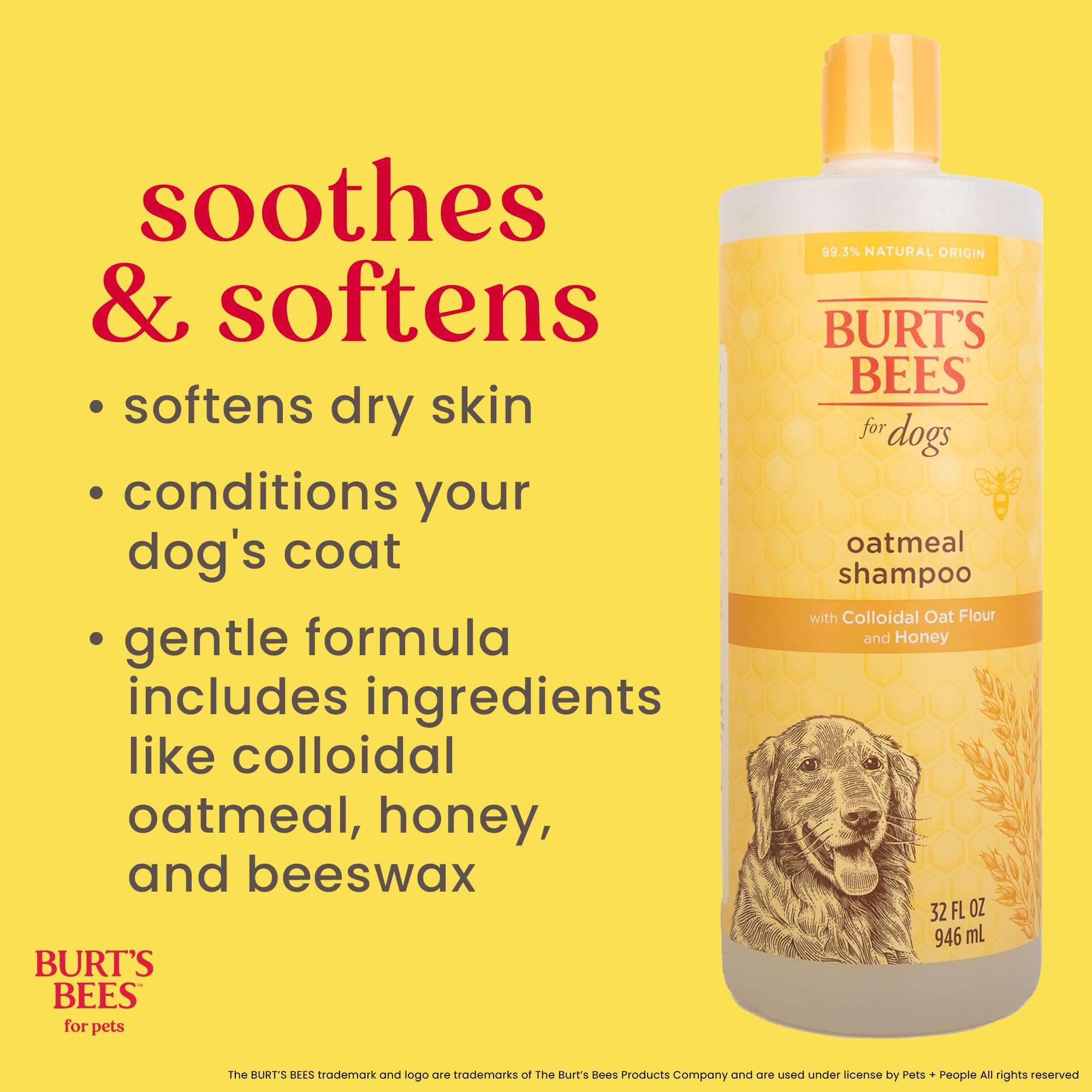 Burt's Bees for Pets Oatmeal Dog Shampoo demonstrates low-lather, quick rinse.