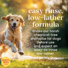 Burt's Bees for Pets Shed Control Shampoo lather demonstrates a low-lather wash for easier rinsing.