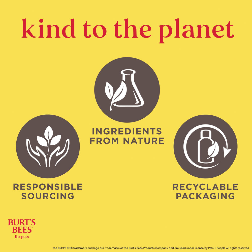 Packaging of Burt's Bees for Pets Tear Free Puppy Shampoo in a 6-pack box.