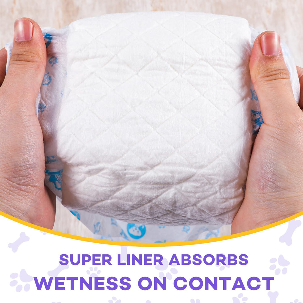 BURVAGY absorbent core forms gel to lock moisture away from fur