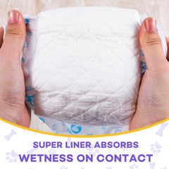 BURVAGY absorbent core forms gel to lock moisture away from fur