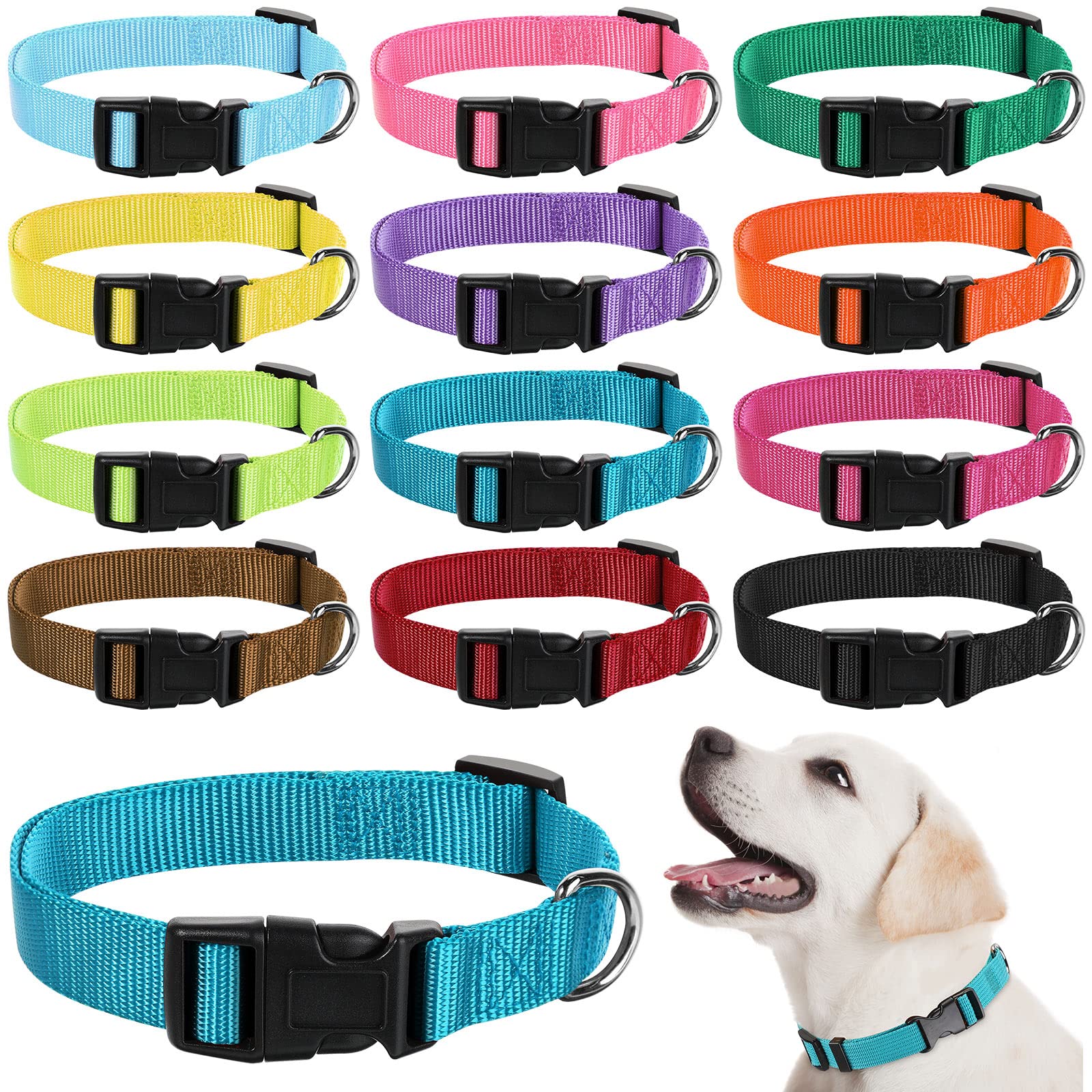 Buryeah 12-piece dog collar bulk set with varied colors for quick matching