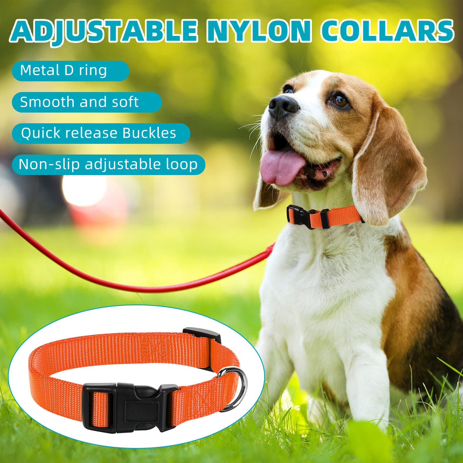 Buryeah bright color options help spot your pet indoors and outdoors