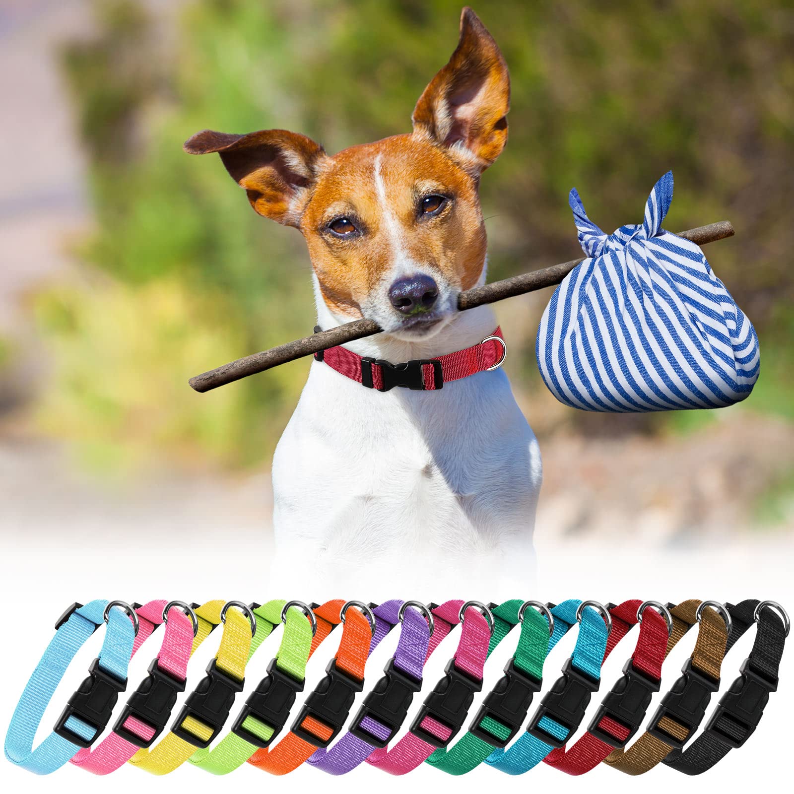 Buryeah gift-ready dog collar pack suitable for gifting