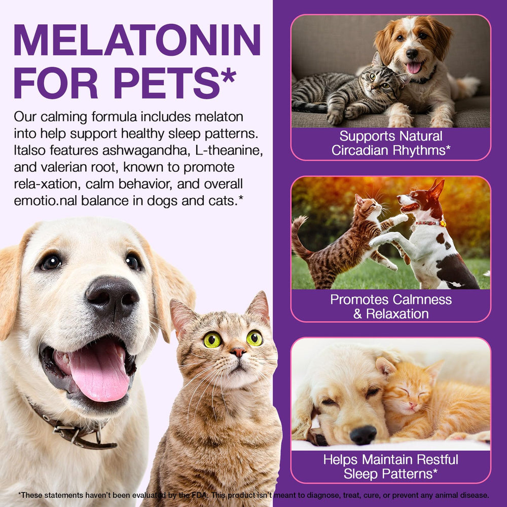 Dosing guide for dogs and cats with Buyourtaste product