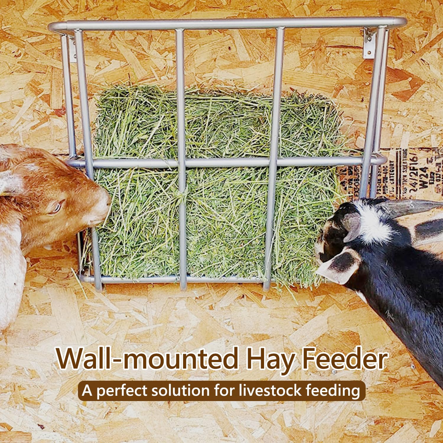 BUYYAH Hay Feeder Goat top view reveals 20 gallon capacity for all-day feeding