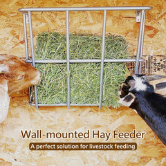 BUYYAH Hay Feeder Goat top view reveals 20 gallon capacity for all-day feeding